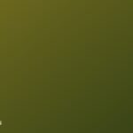 Культура возвратов: как она меняет торговлю