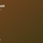 Сравнительный обзор сервисов доставки продуктов: что лучше в Москве и Санкт-Петербурге