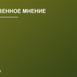 Стоит ли верить рейтингам и звёздам в отзывах